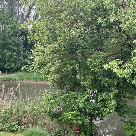 Mandula River Side *